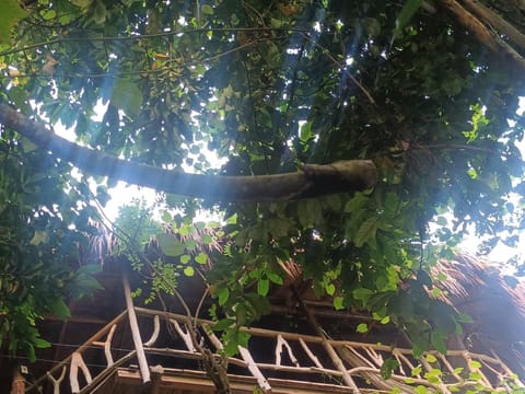 Property building, Balcony/Terrace