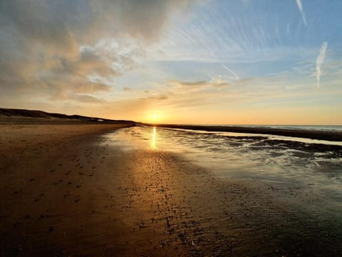 Natural landscape, Beach, Sunset