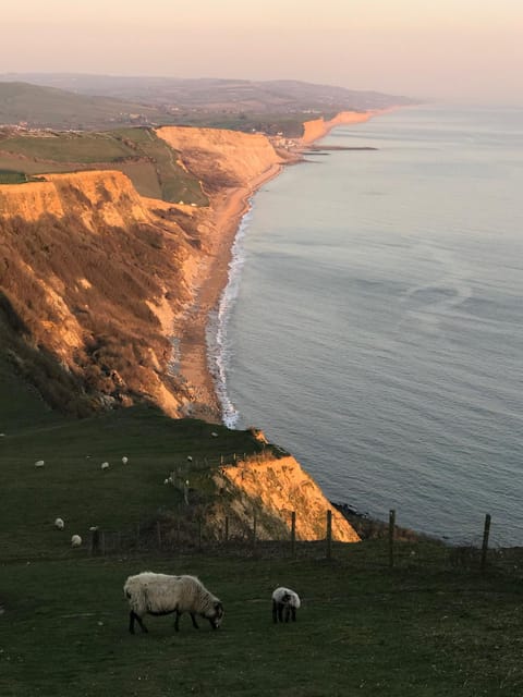 Heatherbell Cottage Guest Accommodation Bed and Breakfast in West Bay, UK