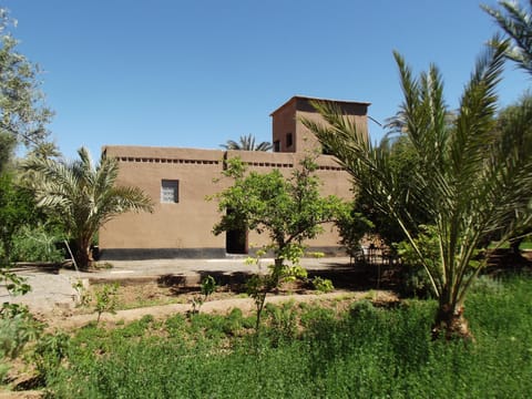 Property building, Garden, Garden