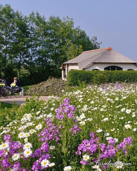 Mariahoeve-Logies #Veenhuisje Chalet in South Holland (province)