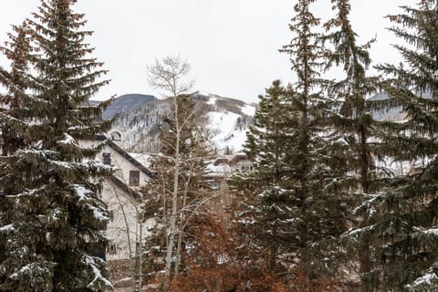9 Vail Road Vail Village 2 to 4 Bedrooms by Vail Realty Apartment in Vail