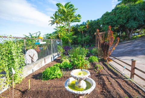 Affordable Luxury on One Acre Villa in Kalaoa