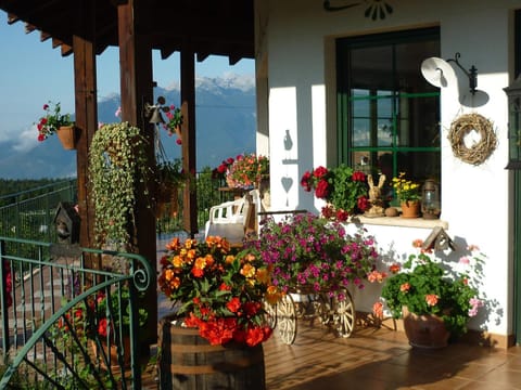 Summer, Balcony/Terrace, Internal: Not applicable to any particular room