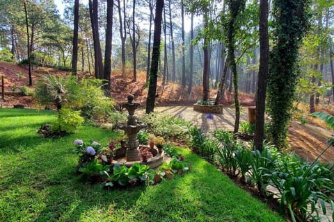 Cabaña rustica a 1km de cascada Chalet in Mazamitla