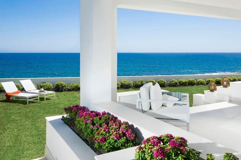 Patio, Garden, Garden view