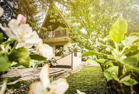 Spring, Day, Garden, Garden view