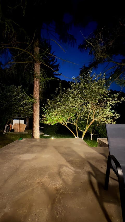 Night, Garden, Garden view