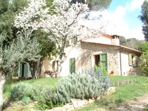 Casa Jacaranda House in Tuscany