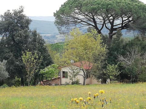 Casa Jacaranda House in Tuscany