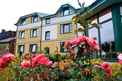 Property building, Garden view