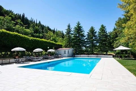 Natural landscape, Pool view, Swimming pool, sunbed