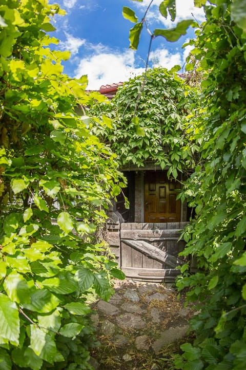 Domek na końcu świata House in Pomeranian Voivodeship