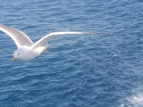 Apartment Panorama Apartment in Sarandë