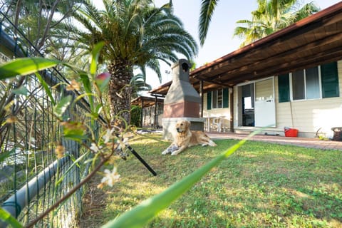 Garden, Animals, Animals, Animals, Pets, Pets, Pets, Garden view, pet friendly