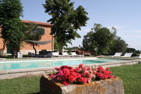 Garden, Swimming pool, Swimming pool