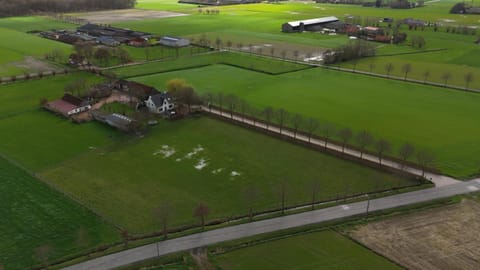 Spring, Day, Natural landscape, Bird's eye view