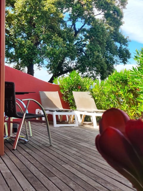 Patio, Balcony/Terrace, sunbed