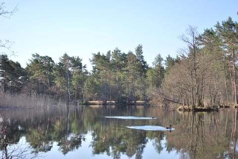 Neighbourhood, Natural landscape, Fishing