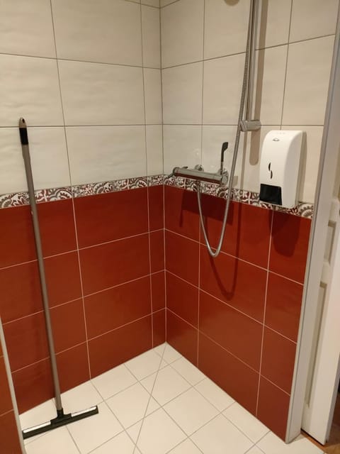 Shower, hair dryier, towels