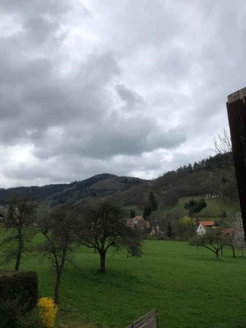 Garden view