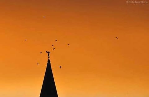 Ane Apartment in Zadar