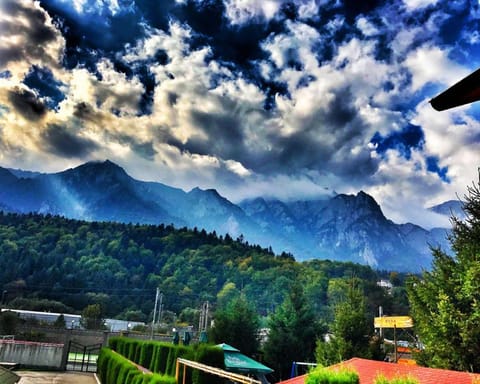 Natural landscape
