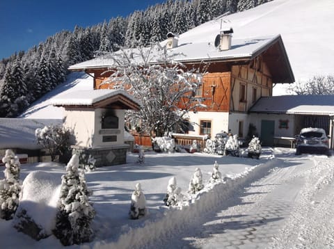 Patio, Winter, Garden