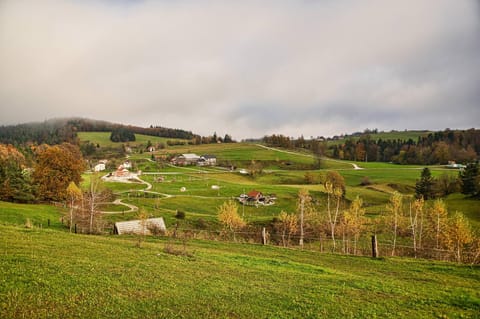 Day, Natural landscape