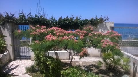 Garden, Garden view