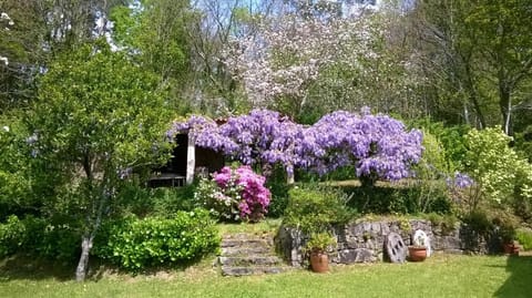 Natural landscape, Garden, Garden view