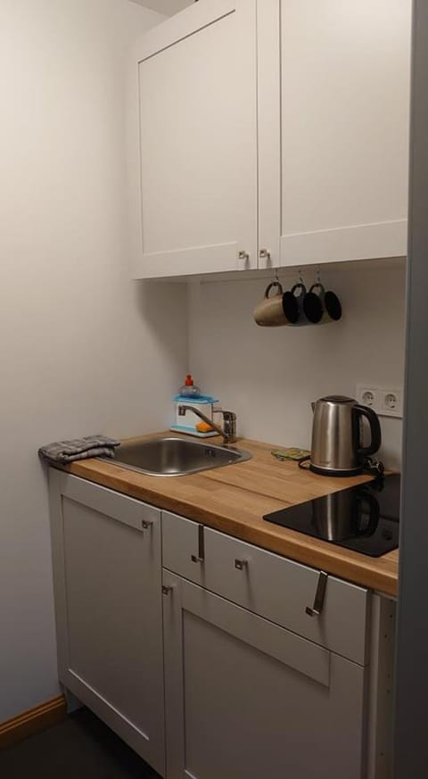 Karoso Apartment Apartment in Klaipėda