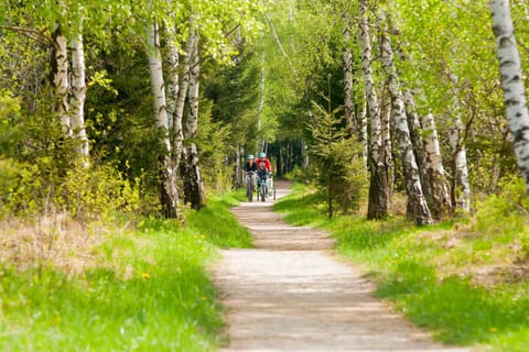 Ferienwohnungen Rosenegger Apartment in Ruhpolding