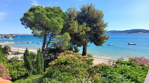 Day, Natural landscape, Beach, Sea view