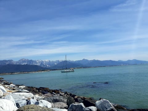 Natural landscape, On site, Sea view