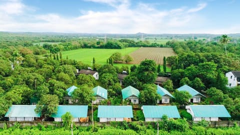 Day, Natural landscape, Bird's eye view