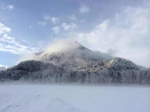 Ferienwohnungen Ortner-Hof inkl. Chiemgaukarte Apartment in Ruhpolding