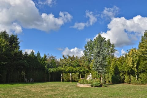 Garden, Table tennis, Garden view
