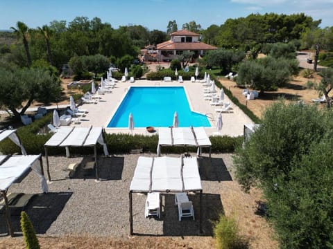 Day, Pool view, Swimming pool, sunbed