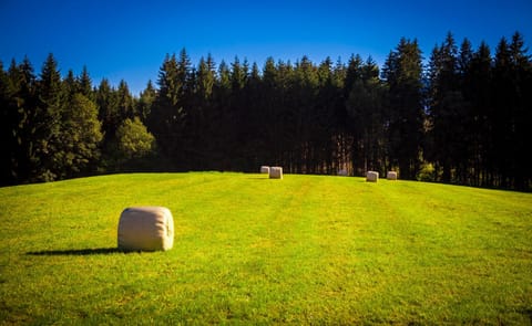 Natural landscape, Garden