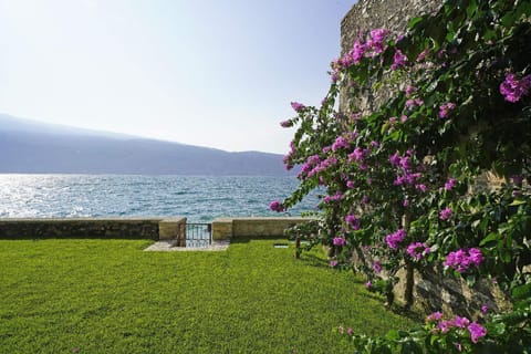 Garden, Beach, Lake view
