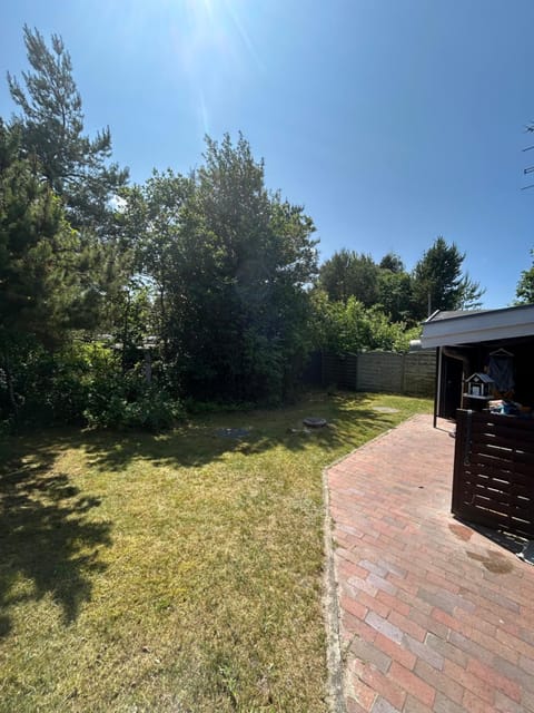 Retro Beach House House in Zealand