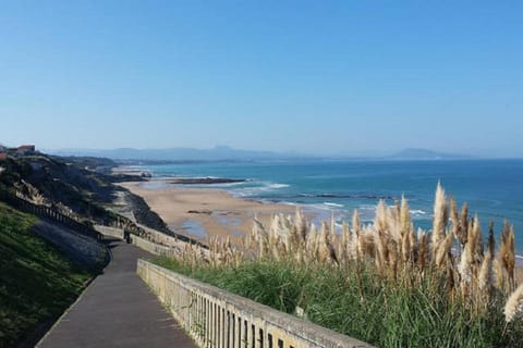 Natural landscape, Sea view