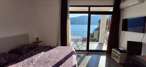 Apartments Joy Apartment in Dubrovnik-Neretva County