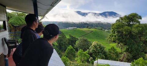 Patio, View (from property/room), Balcony/Terrace, City view, Garden view, Lake view, Mountain view, Sea view
