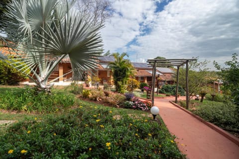 Spring, Natural landscape, Garden view