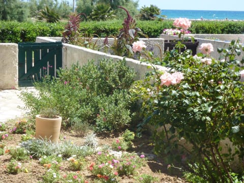 Garden, Beach, Garden view, Sea view