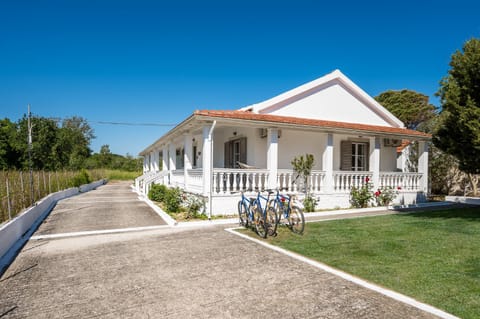 Property building, Garden, Garden view