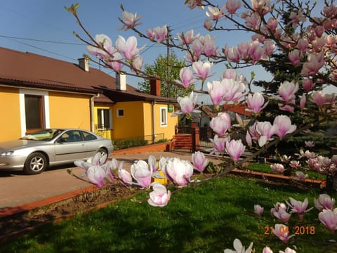 Property building, Natural landscape