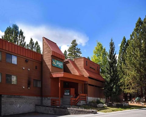 Property building, On site